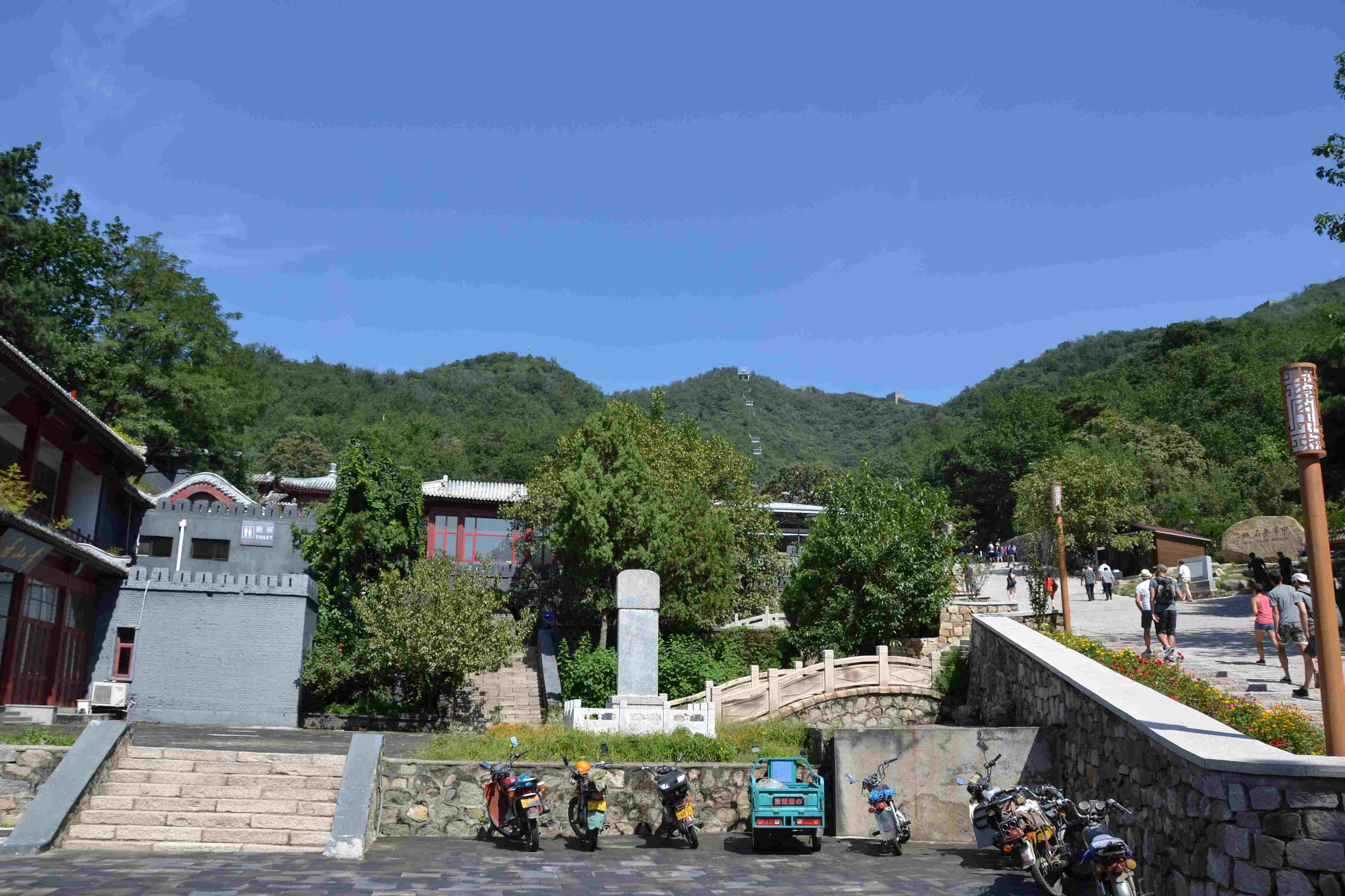 DSC 0091