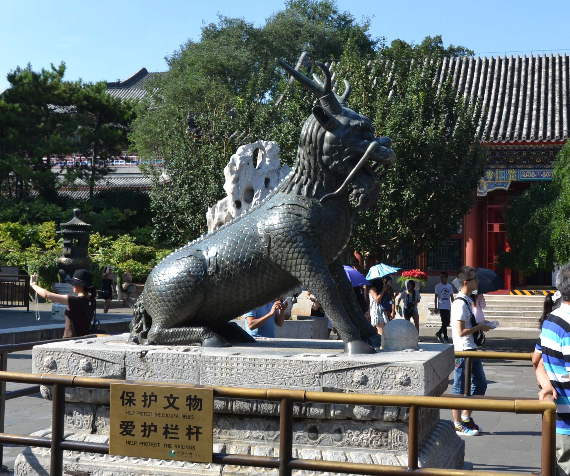 DSC 0107