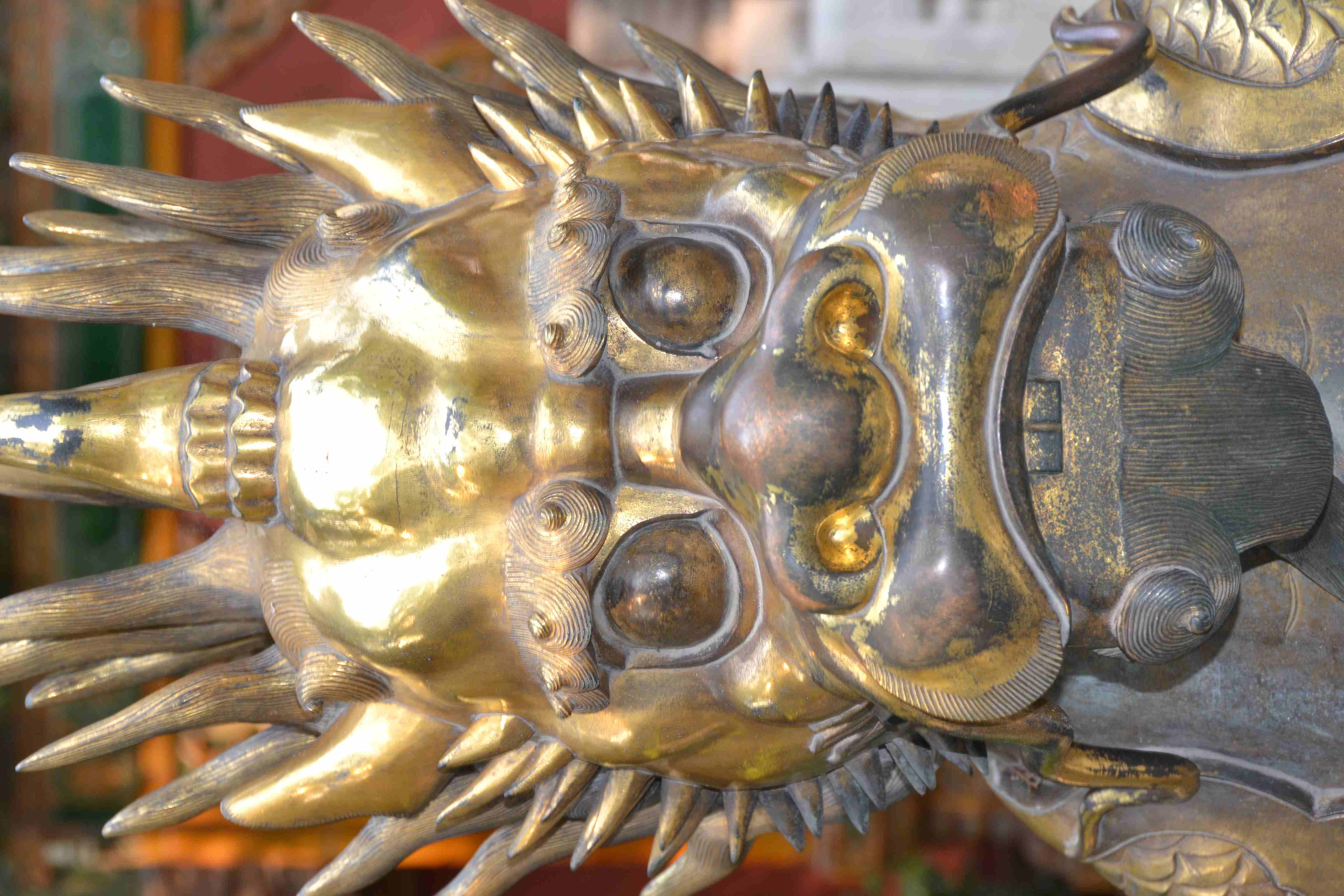 DSC 0465 2