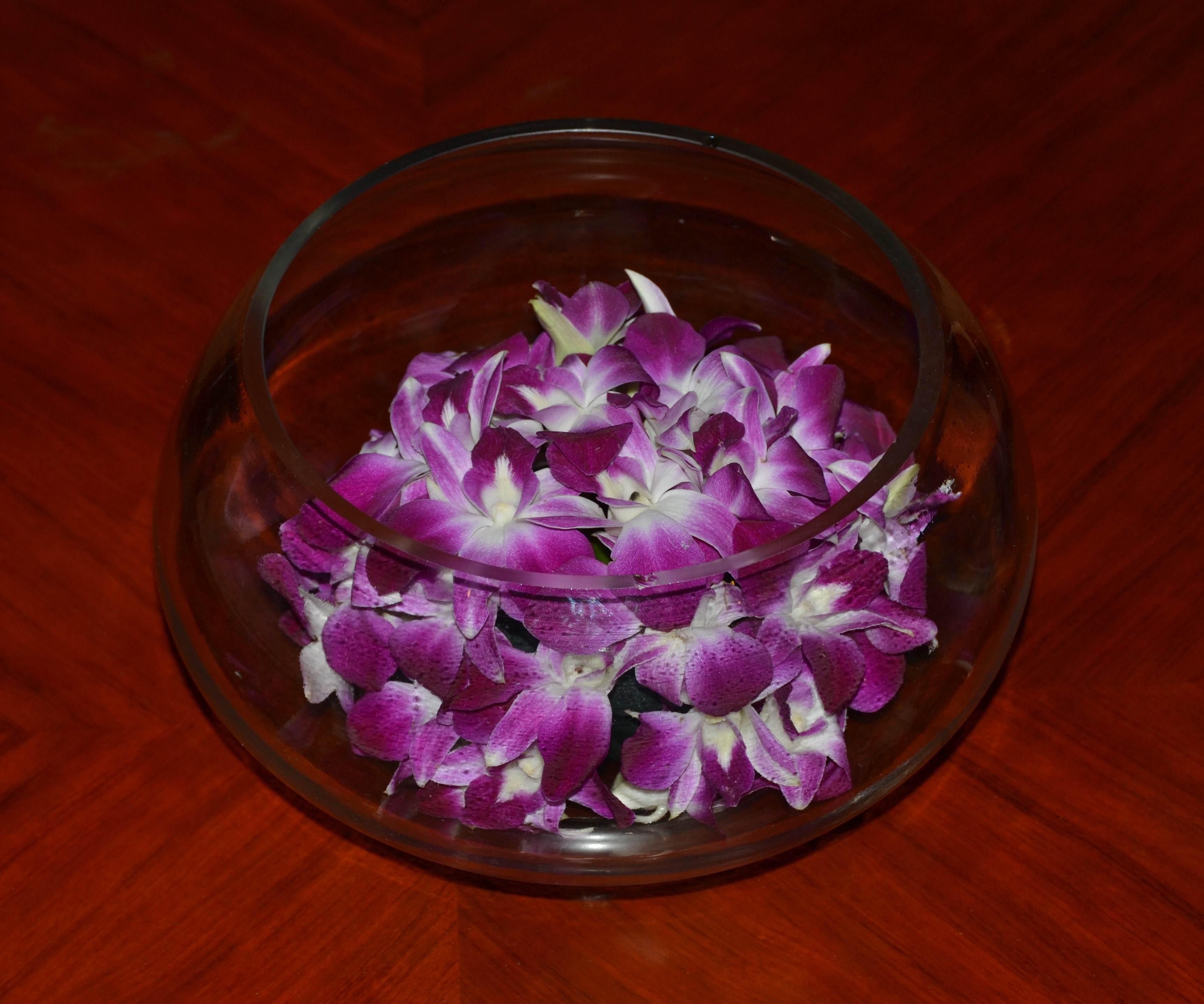 DSC 0518 2