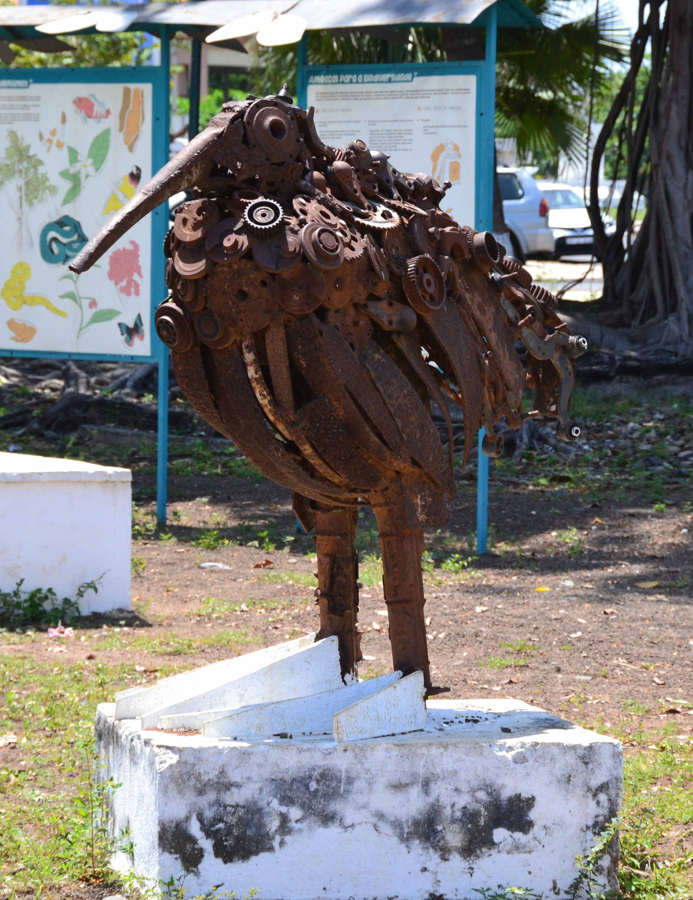 DSC 0305