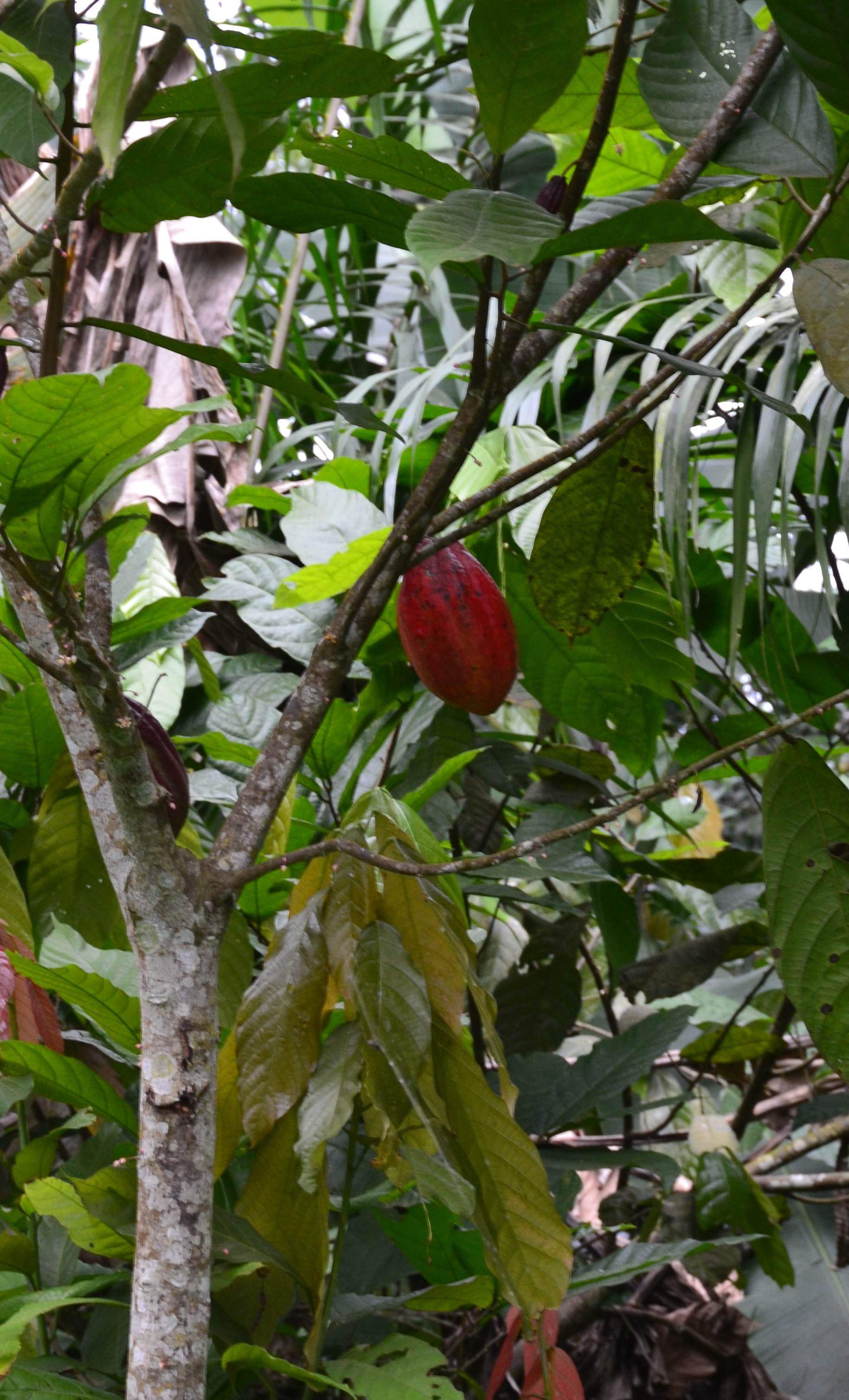 DSC 0364
