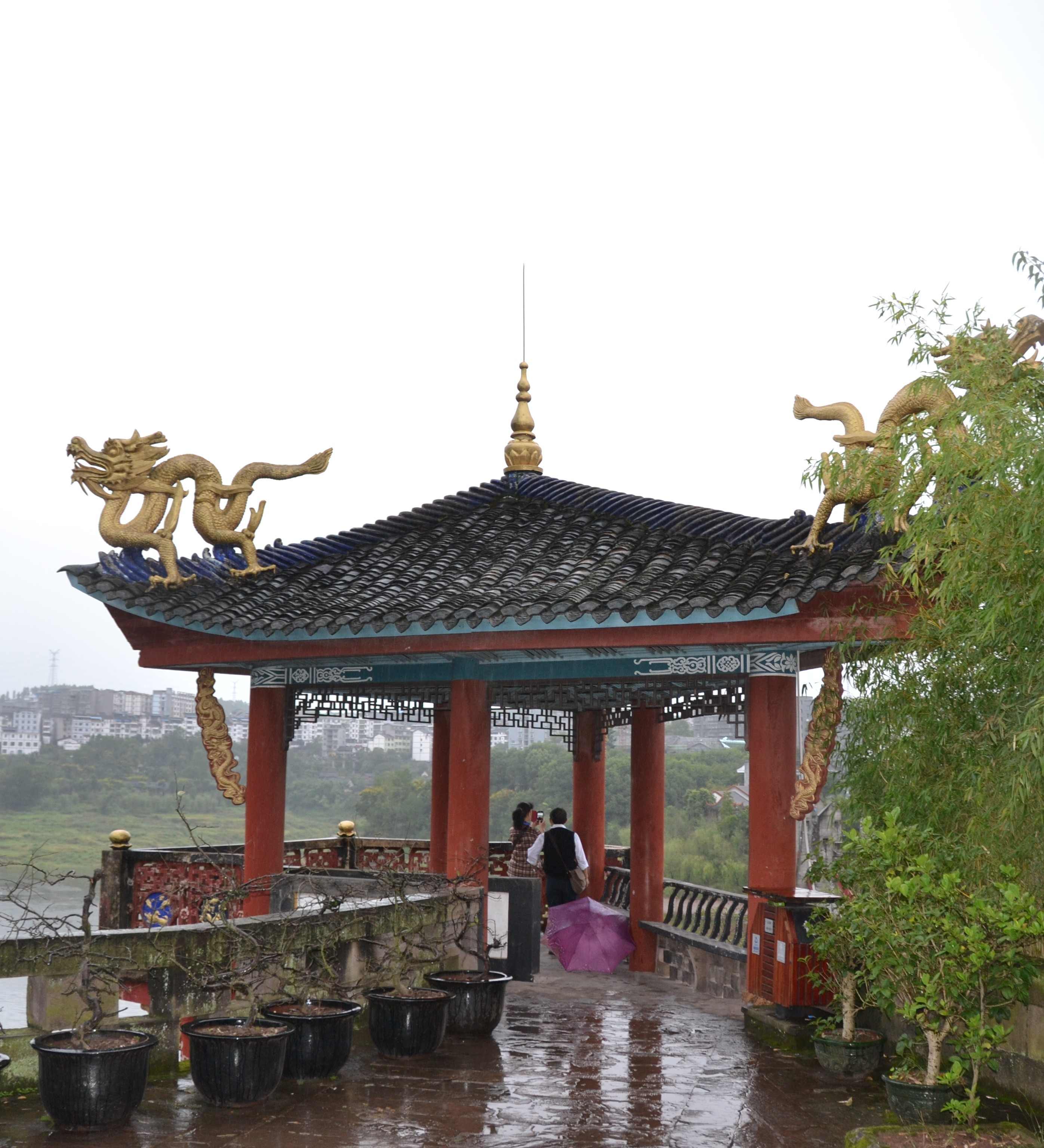 DSC 0587