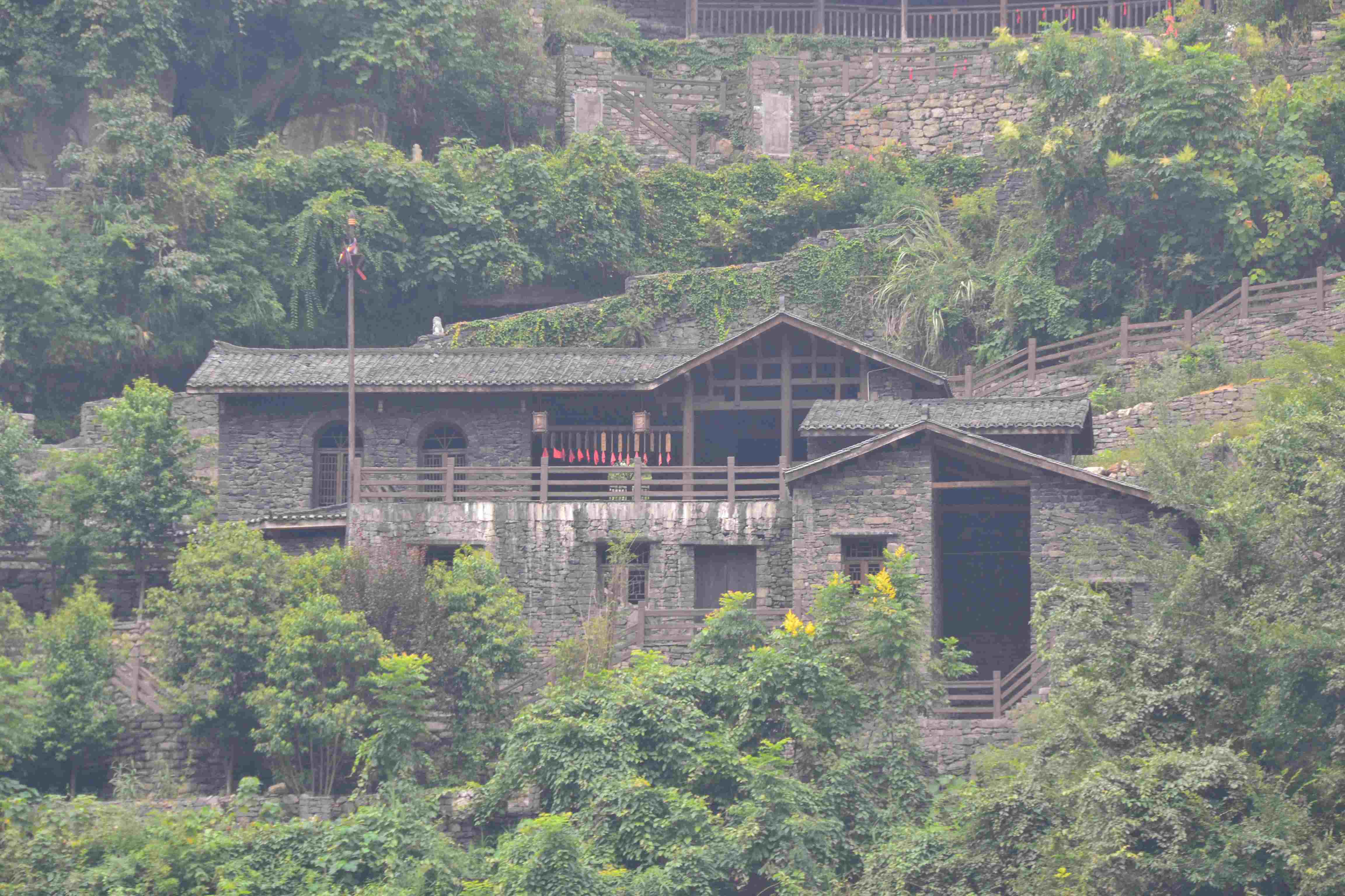 DSC 0981
