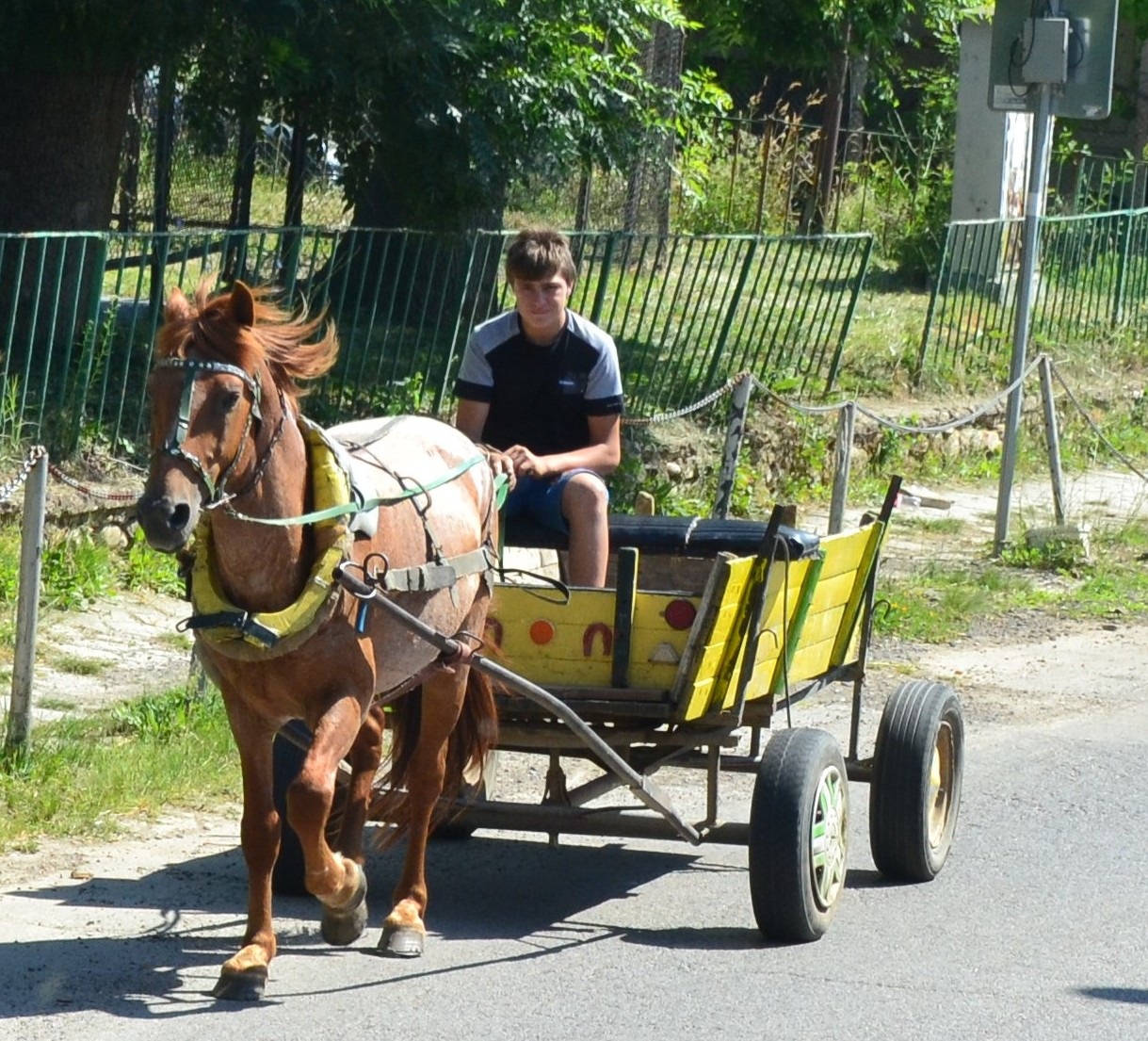 DSC 0634