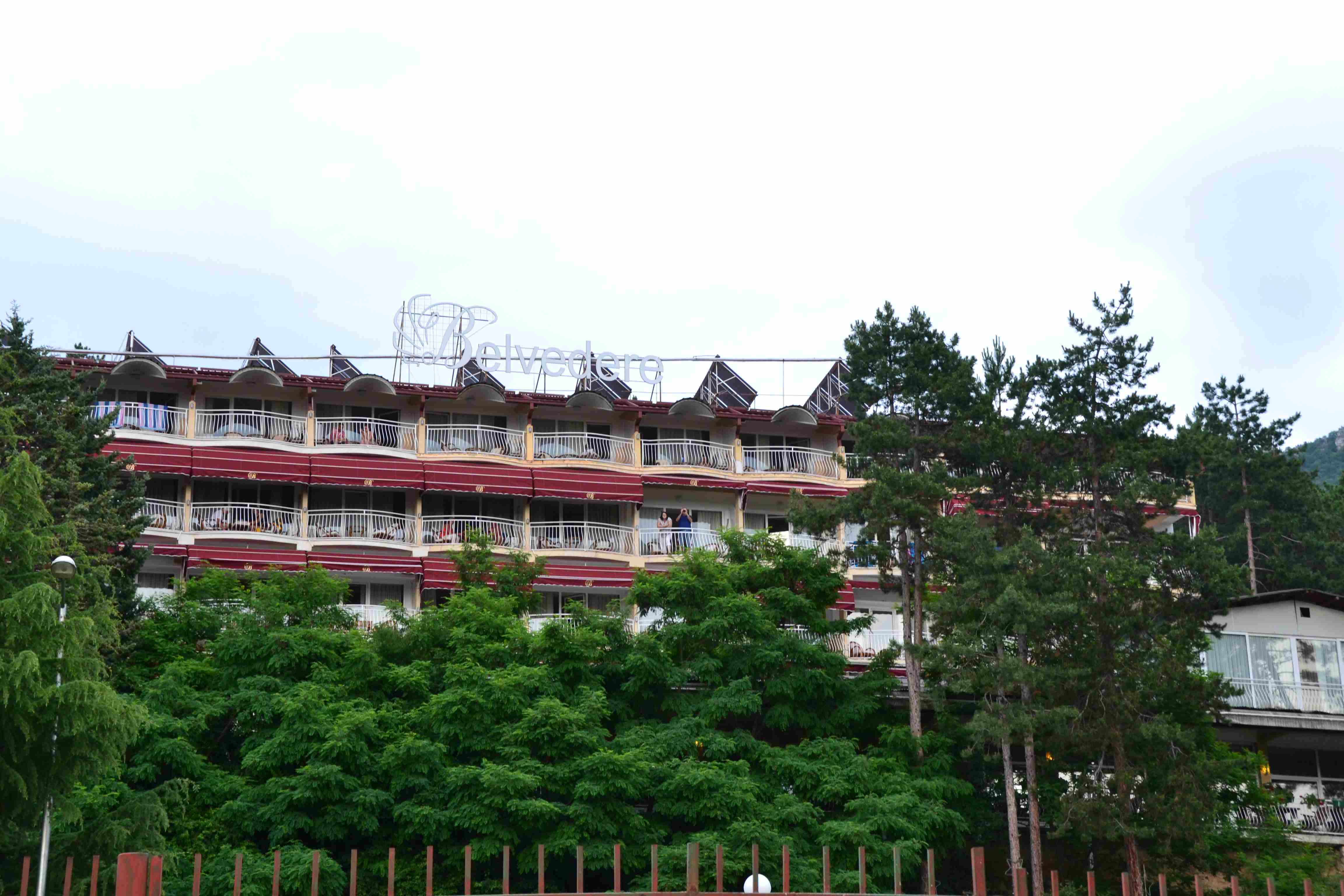 DSC 0848